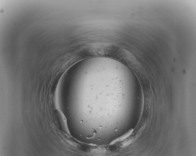 X0000061760125200512091711