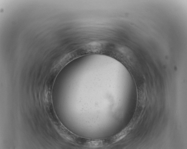 X0000061760126200512091711