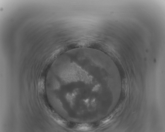 X0000061760127200512091711