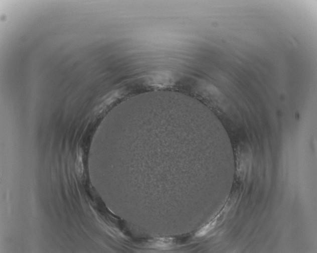 X0000061760128200512091711