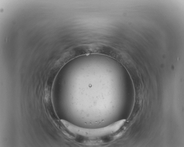 X0000061760129200512091711