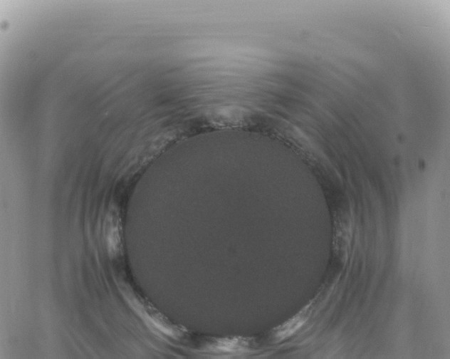 X0000061760130200512091711