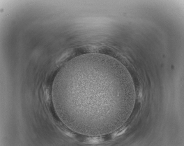 X0000061760131200512091711