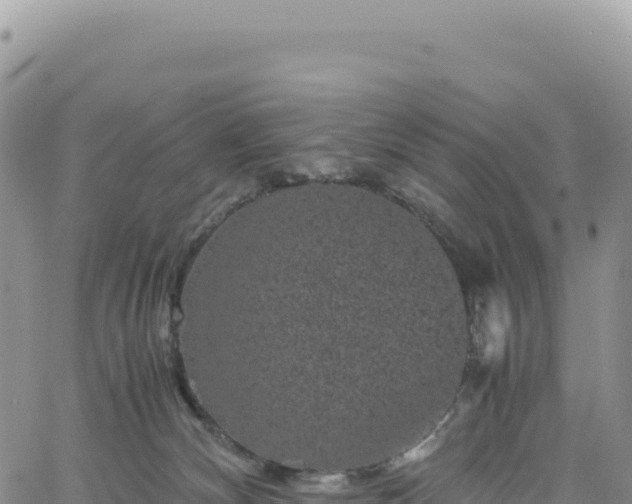 X0000061760132200512091711