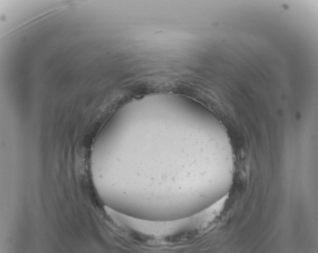 X0000061760133200512091711