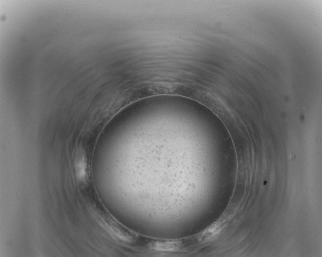 X0000061760134200512091711