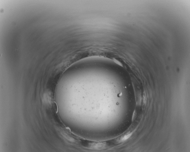 X0000061760135200512091711