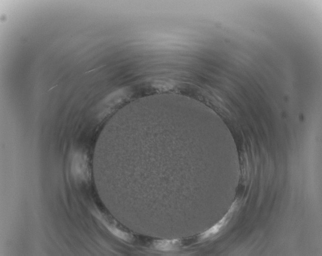 X0000061760136200512091711