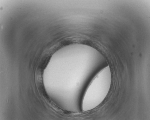 X0000061760137200512091711