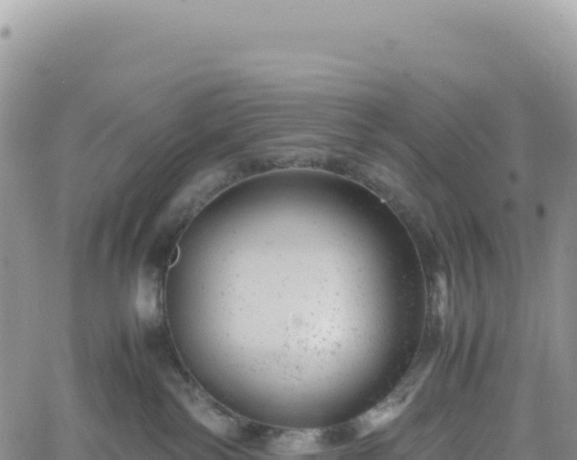 X0000061760138200512091711