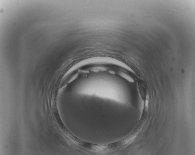 X0000061760139200512091711