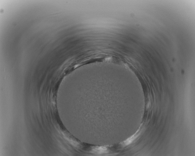 X0000061760140200512091711