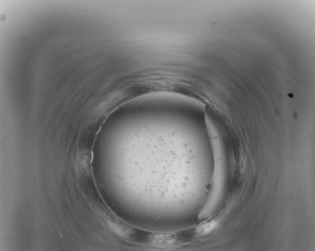 X0000061760141200512091711