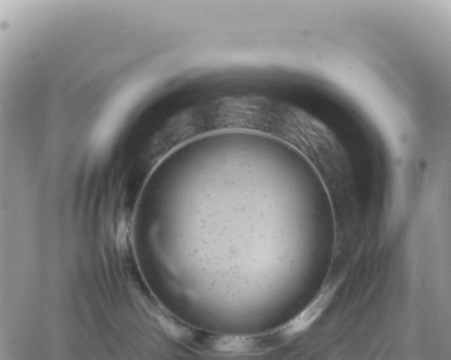 X0000061760142200512091711