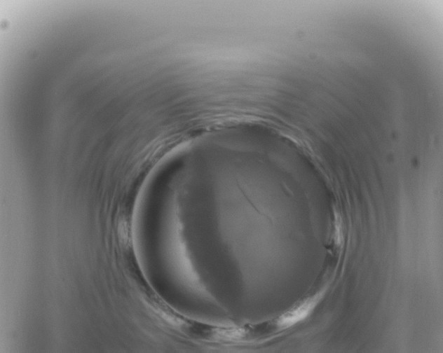 X0000061760143200512091711