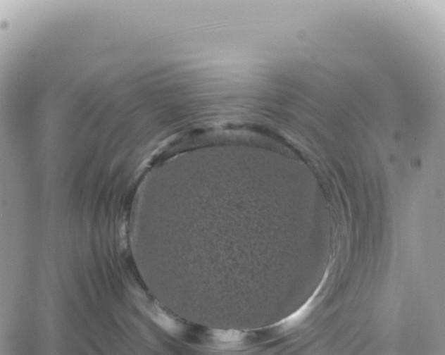 X0000061760144200512091711