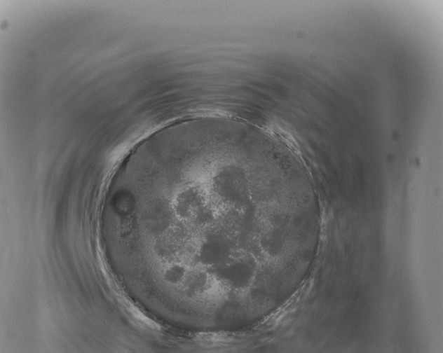 X0000061760145200512091710