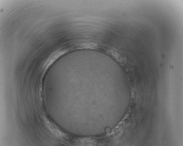 X0000061760146200512091710