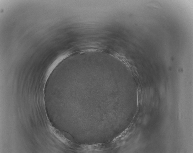 X0000061760147200512091710