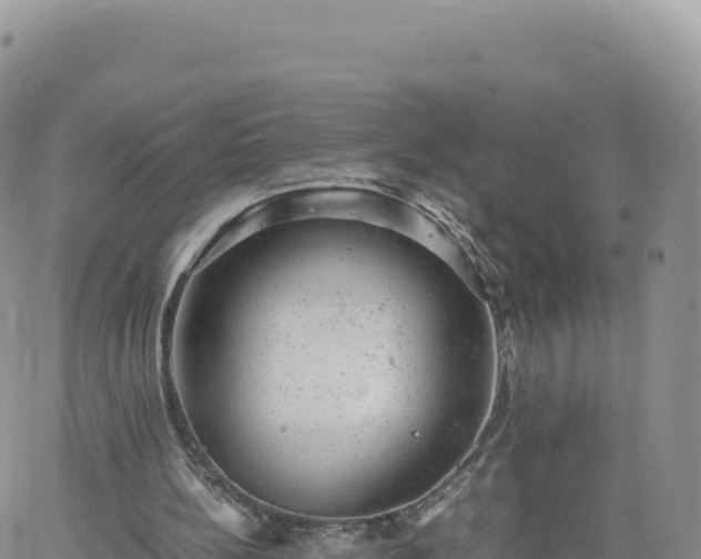 X0000061760148200512091710