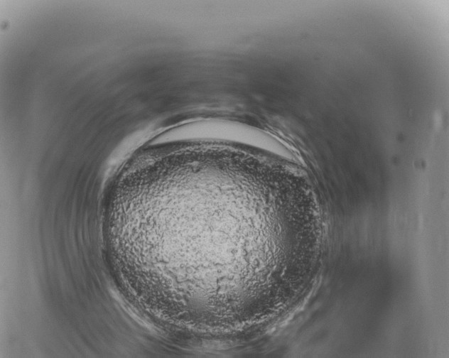 X0000061760149200512091710