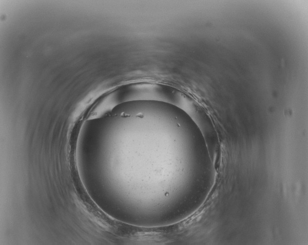 X0000061760150200512091710