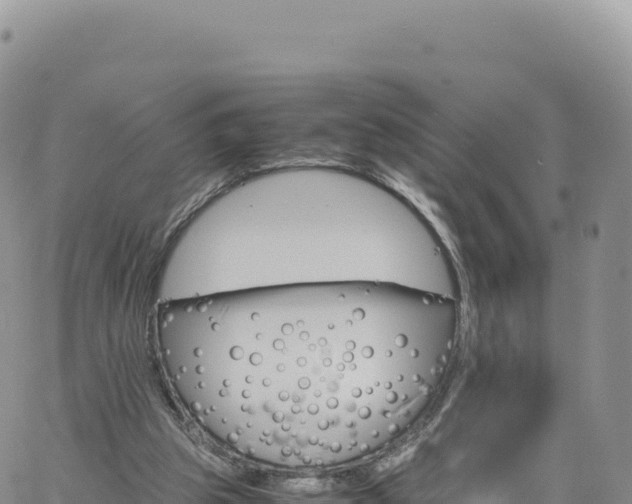 X0000061760153200512091710