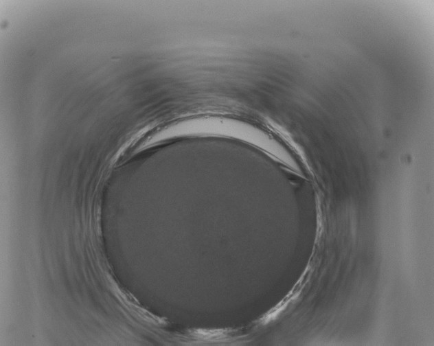 X0000061760154200512091710