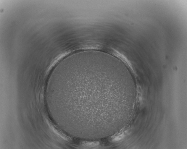 X0000061760155200512091710