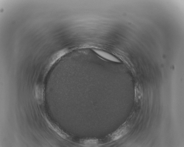 X0000061760156200512091710