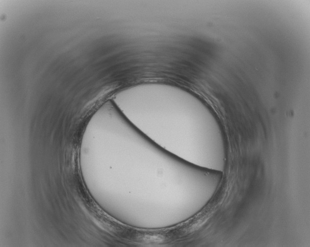 X0000061760157200512091710