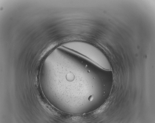 X0000061760158200512091710