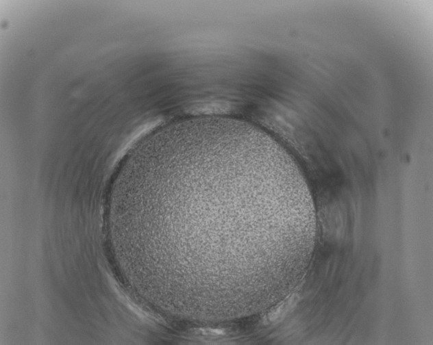 X0000061760159200512091710