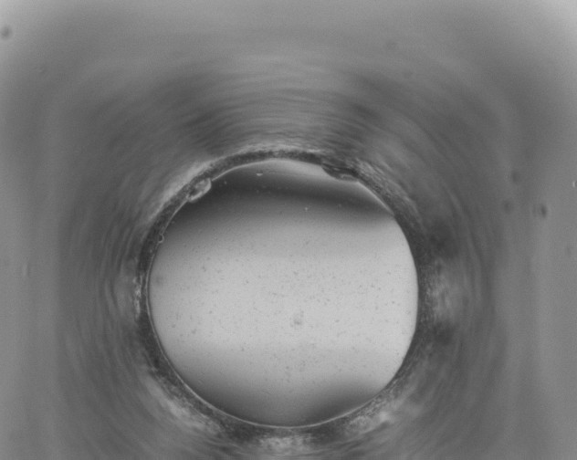 X0000061760160200512091710