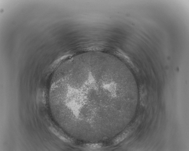 X0000061760161200512091710