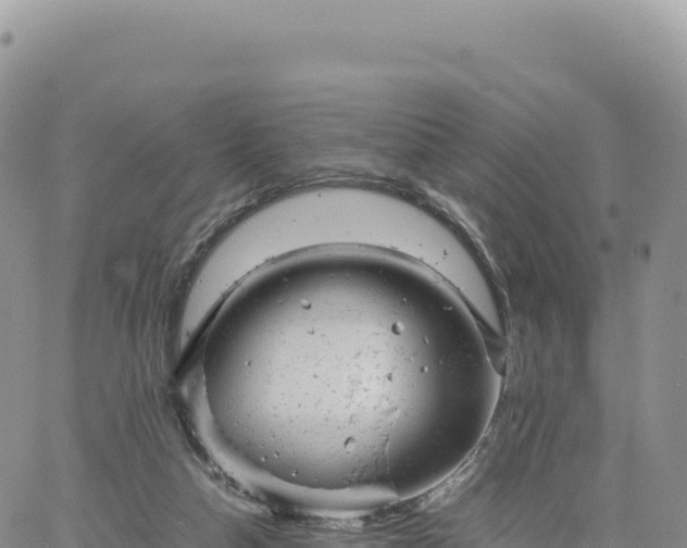 X0000061760162200512091710