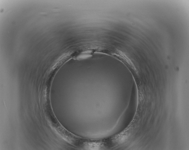 X0000061760163200512091710