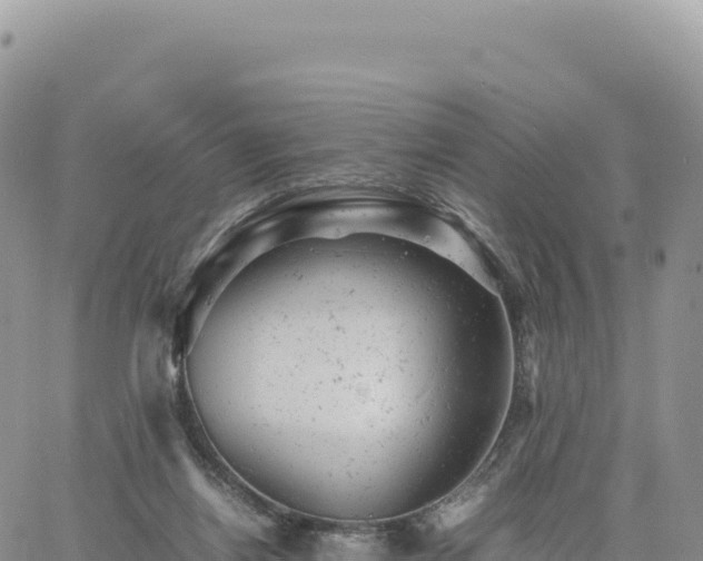 X0000061760164200512091710