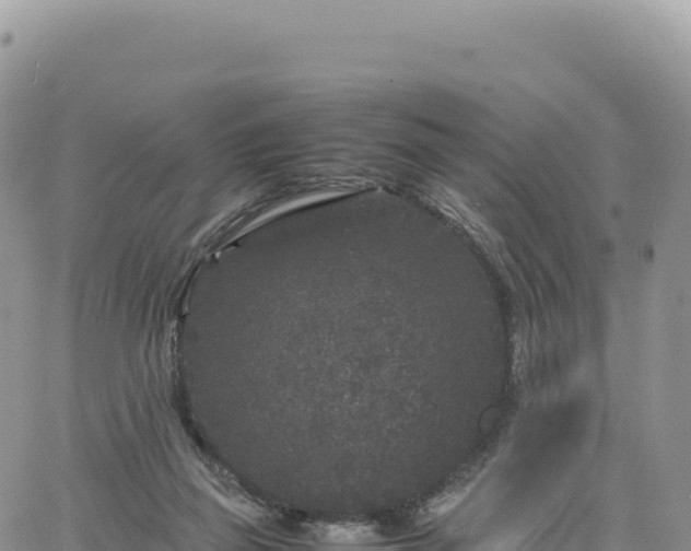 X0000061760165200512091710