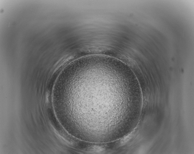 X0000061760166200512091710