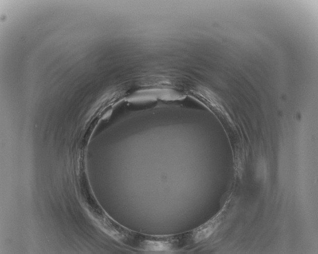 X0000061760167200512091710