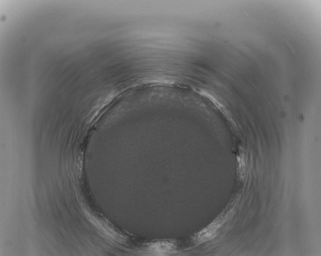 X0000061760168200512091710