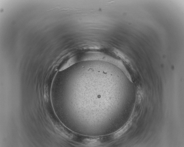 X0000061760170200512091710