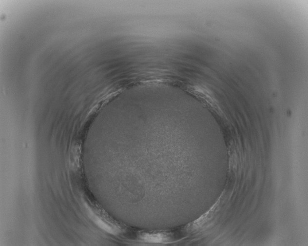 X0000061760171200512091710