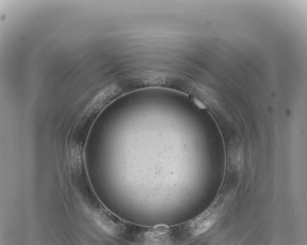 X0000061760172200512091710