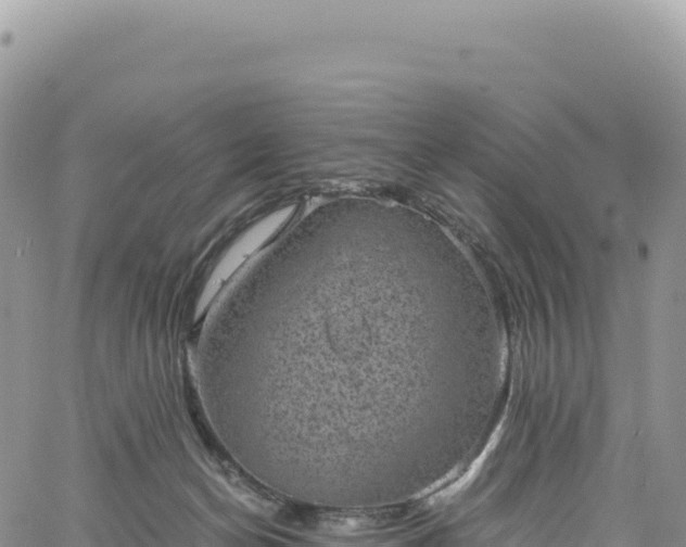 X0000061760174200512091710