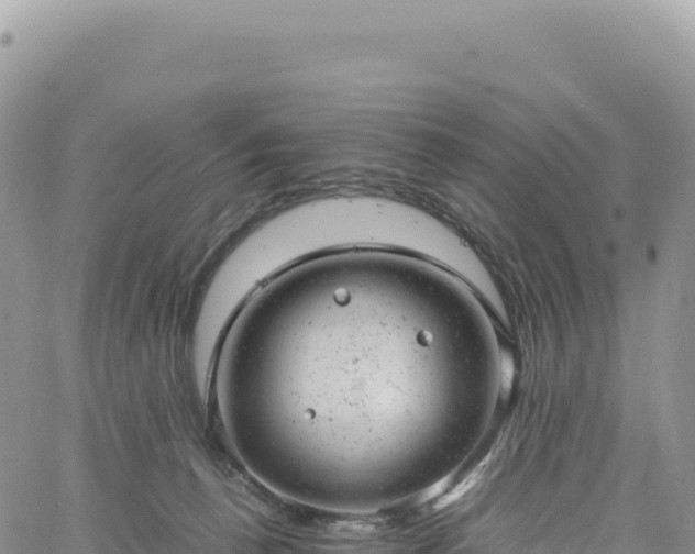 X0000061760176200512091710