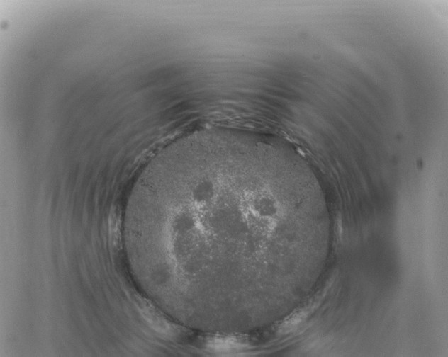 X0000061760177200512091710