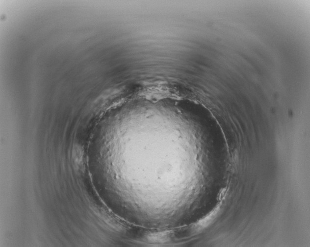 X0000061760178200512091710