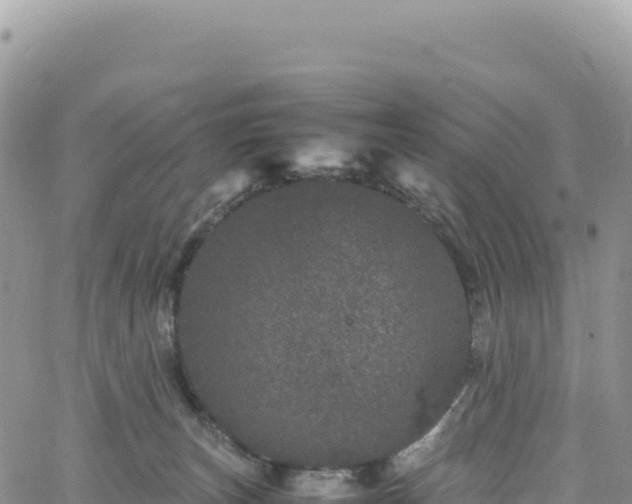 X0000061760179200512091710